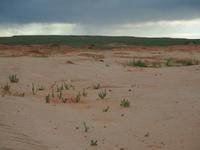 Tag 8 - Sauxalwald &ndash; &copy; Maria Hoyer (Eberhardt TRAVEL)