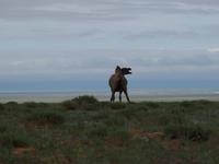 Tag 9  &ndash; &copy; Maria Hoyer (Eberhardt TRAVEL)