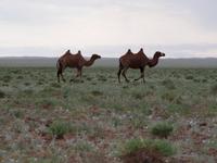 Tag 9  &ndash; &copy; Maria Hoyer (Eberhardt TRAVEL)