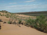 Tag 9 - Sanddüne &ndash; &copy; Maria Hoyer (Eberhardt TRAVEL)