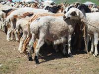 Tag 10  &ndash; &copy; Maria Hoyer (Eberhardt TRAVEL)