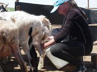Tag 10 - Nomaden bei der Arbeit &ndash; &copy; Maria Hoyer (Eberhardt TRAVEL)