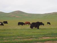 Tag 10  &ndash; &copy; Maria Hoyer (Eberhardt TRAVEL)