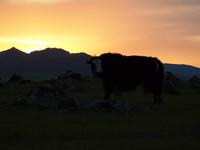 Tag 10 - Sonnenuntergang &ndash; &copy; Maria Hoyer (Eberhardt TRAVEL)
