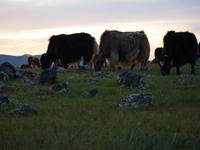 Tag 10 - Sonnenuntergang &ndash; &copy; Maria Hoyer (Eberhardt TRAVEL)