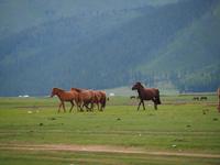 Tag 11 &ndash; &copy; Maria Hoyer (Eberhardt TRAVEL)