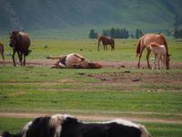 Tag 11 &ndash; &copy; Maria Hoyer (Eberhardt TRAVEL)