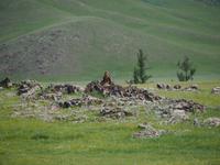 Tag 11 - Adler &ndash; &copy; Maria Hoyer (Eberhardt TRAVEL)