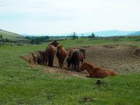 Tag 11 &ndash; &copy; Maria Hoyer (Eberhardt TRAVEL)