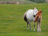 Tag 11  &ndash; &copy; Maria Hoyer (Eberhardt TRAVEL)