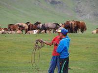 Tag 11 - Nomaden bei der Arbeit &ndash; &copy; Maria Hoyer (Eberhardt TRAVEL)