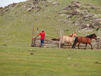 Tag 11 - Nomaden bei der Arbeit &ndash; &copy; Maria Hoyer (Eberhardt TRAVEL)