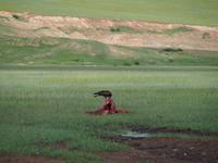 Tag 15 - Adler &ndash; &copy; Maria Hoyer (Eberhardt TRAVEL)