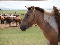 Tag 16- Besuch einer Nomadenfamilie &ndash; &copy; Maria Hoyer (Eberhardt TRAVEL)