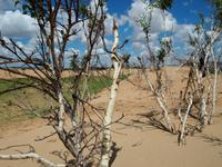 Tag 16 &ndash; &copy; Maria Hoyer (Eberhardt TRAVEL)