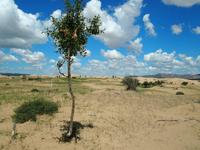 Tag 16 &ndash; &copy; Maria Hoyer (Eberhardt TRAVEL)