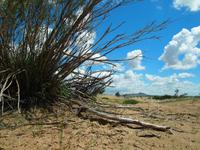 Tag 16 &ndash; &copy; Maria Hoyer (Eberhardt TRAVEL)