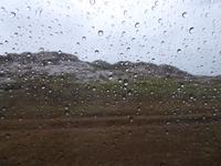 Regen &ndash; &copy; Sabine Letzybyll (Eberhardt TRAVEL)