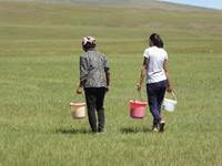 Nomaden &ndash; &copy; Sabine Letzybyll (Eberhardt TRAVEL)