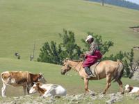 Reiter &ndash; &copy; Sabine Letzybyll (Eberhardt TRAVEL)