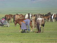 Pferdehirt &ndash; &copy; Sabine Letzybyll (Eberhardt TRAVEL)