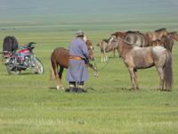 Pferdehirt &ndash; &copy; Sabine Letzybyll (Eberhardt TRAVEL)
