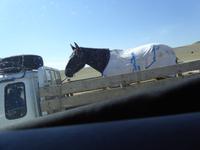 unterwegs &ndash; &copy; Sabine Letzybyll (Eberhardt TRAVEL)