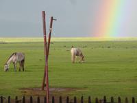Idylle pur &ndash; &copy; Birgit Hornung (Eberhardt TRAVEL)