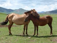 Gestellt? &ndash; &copy; Birgit Hornung (Eberhardt TRAVEL)