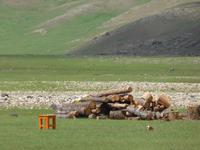 Stillleben &ndash; &copy; Birgit Hornung (Eberhardt TRAVEL)