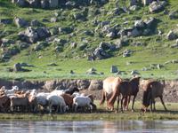 Am Fluss. &ndash; &copy; Birgit Hornung (Eberhardt TRAVEL)