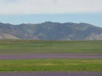 Blick aus dem Auto. &ndash; &copy; Birgit Hornung (Eberhardt TRAVEL)