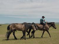 Beim Pferderennen. &ndash; &copy; Birgit Hornung (Eberhardt TRAVEL)