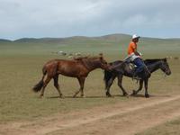 Beim Pferderennen. &ndash; &copy; Birgit Hornung (Eberhardt TRAVEL)