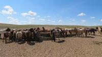 Alle haben Durst &ndash; &copy; Rico Manns (Eberhardt TRAVEL)