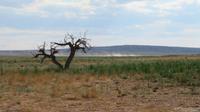 Oase &ndash; &copy; Rico Manns (Eberhardt TRAVEL)