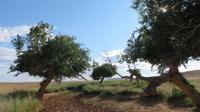 Oase &ndash; &copy; Rico Manns (Eberhardt TRAVEL)