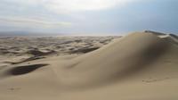 Chongor-Sanddüne &ndash; &copy; Rico Manns (Eberhardt TRAVEL)