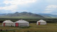 Jurtencamp &ndash; &copy; Rico Manns (Eberhardt TRAVEL)