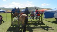Mit dem Pferd zum Fest &ndash; &copy; Rico Manns (Eberhardt TRAVEL)