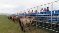 Mit dem Pferd zum Rennen &ndash; &copy; Rico Manns (Eberhardt TRAVEL)