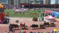 Naadam Fest &ndash; &copy; Rico Manns (Eberhardt TRAVEL)