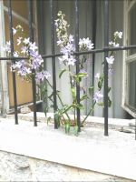 Pflanzen ohne Erde &ndash; &copy; Heike Meinhold (Eberhardt TRAVEL)