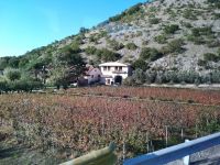 Weingut &ndash; &copy; Heike Meinhold (Eberhardt TRAVEL)