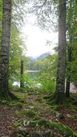 Nationalpark &ndash; &copy; Heike Meinhold (Eberhardt TRAVEL)