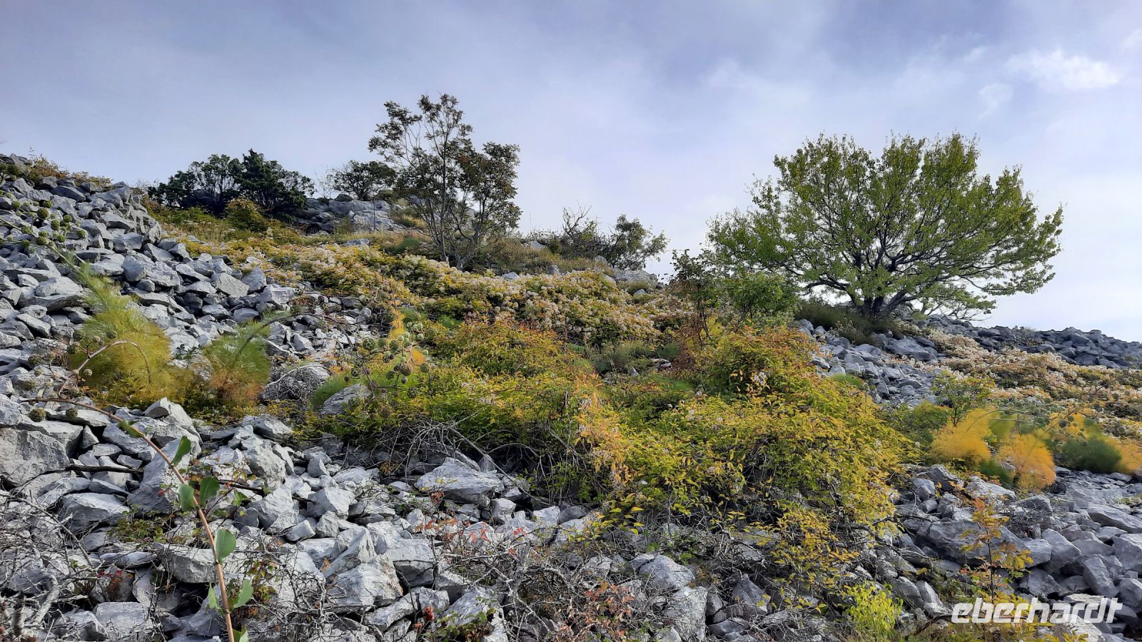 095 - Wanderung Adria-Küste, Budva, Montenegro &ndash; &copy; Vivien Fiedler (Eberhardt TRAVEL)