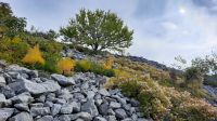 096 - Wanderung Adria-Küste, Budva, Montenegro &ndash; &copy; Vivien Fiedler (Eberhardt TRAVEL)