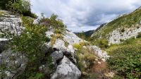 121 - Wanderung Adria-Küste, Budva, Montenegro &ndash; &copy; Vivien Fiedler (Eberhardt TRAVEL)