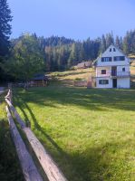 Das Dorf 