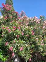 Frühling &ndash; &copy; Annette Profft (Eberhardt TRAVEL)